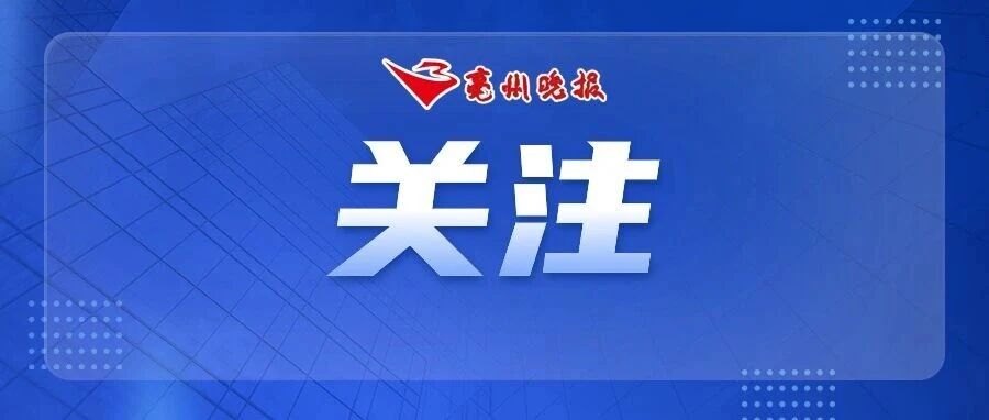 今天,人民网关注亳州药博会